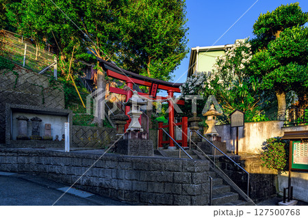 歴史ある熊野神社の石碑と鳥居が並ぶ美しい景観 神奈川県横須賀 歴史ある熊野神社の石碑と鳥居が並ぶ美しい景観 神奈川県横須賀 127500768