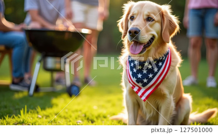 Golden retriever in patriotic bandana near barbecue grill, festive Fourth of July celebration in backyard 127501000