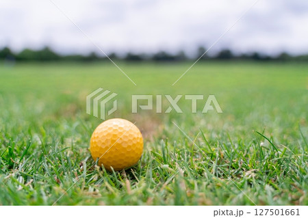 A bright yellow golf ball is resting on the lush green grass at the driving range facility A bright yellow golf ball is resting on the lush green grass at the driving range facility 127501661