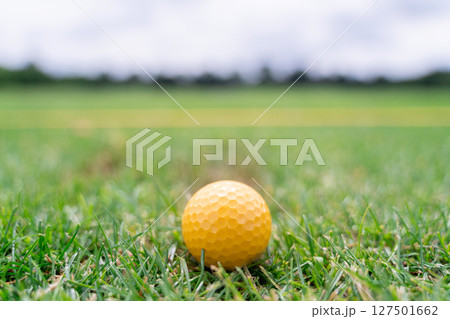 A CloseUp View of a Bright Yellow Golf Ball Resting on the Green Grass of a Course A CloseUp View of a Bright Yellow Golf Ball Resting on the Green Grass of a Course 127501662