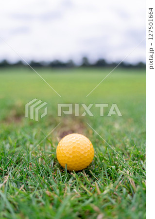 A closeup image of a vibrant Yellow Golf Ball positioned on lush Green Grass, captured beautifully A closeup image of a vibrant Yellow Golf Ball positioned on lush Green Grass, captured beautifully 127501664