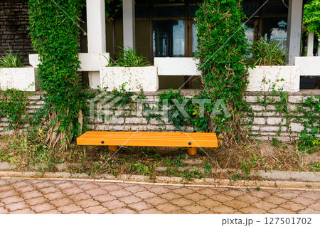 Green wooden bench in sunny park. Public space, relaxation area, and outdoor urban furniture Green wooden bench in sunny park. Public space, relaxation area, and outdoor urban furniture 127501702