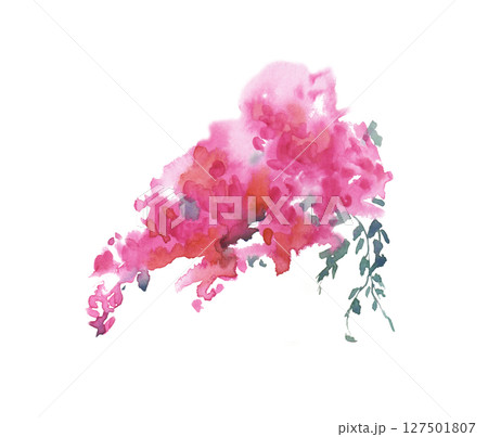 Abstract image of a pink bougainvillea bouquet. Bright watercolor illustration isolated on a white background. An element of a bush of blooming bougainvillea. Abstract image of a pink bougainvillea bouquet. Bright watercolor illustration isolated on a white background. An element of a bush of blooming bougainvillea. 127501807