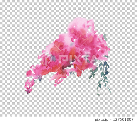 Abstract image of a pink bougainvillea bouquet. Bright watercolor illustration isolated on a white background. An element of a bush of blooming bougainvillea. 127501807