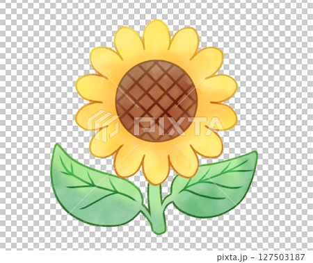 Simple sunflower flower 127503187