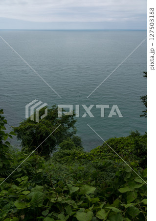 View of the Black Sea from a height down Botanical garden in Georgia View of the Black Sea from a height down Botanical garden in Georgia 127503188