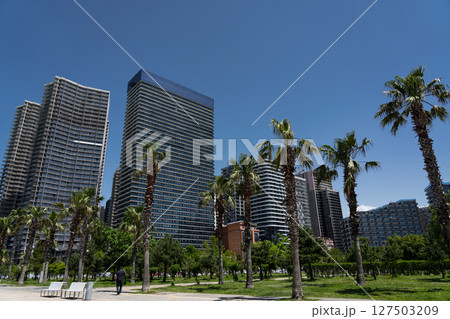 Batumi embankment, sunny weather, palm trees, city 127503209