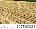稲刈り後の田んぼの風景 127503325