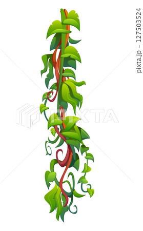 Vertical tropical jungle rain forest liana vine branch with green leaves, vector rainforest plants. Tropical liana vine with monstera leaf or rainforest fern tendrils and ivy sprouts for cartoon frame 127503524