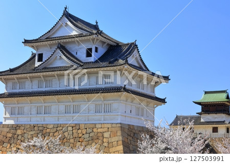 【広島県】桜咲く春の福山城（復興後）福山城桜まつり 127503991