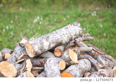 Firewood pile on green grass. Firewood pile on green grass. 127504073