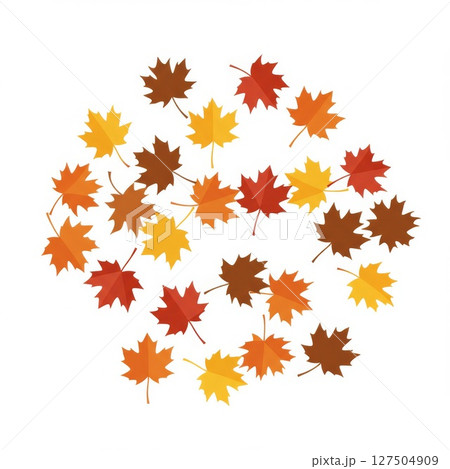 Red Orange Yellow Brown Maple Leaves on White Background 127504909