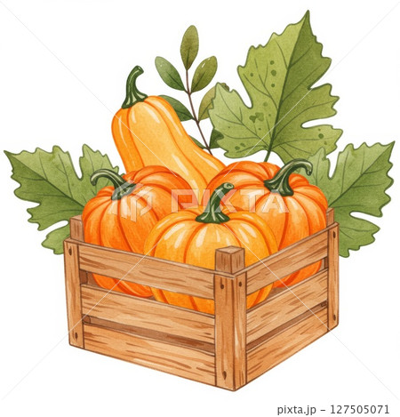 Three Orange Pumpkins and Yellow Squash in Wooden Crate with Green Leaves 127505071