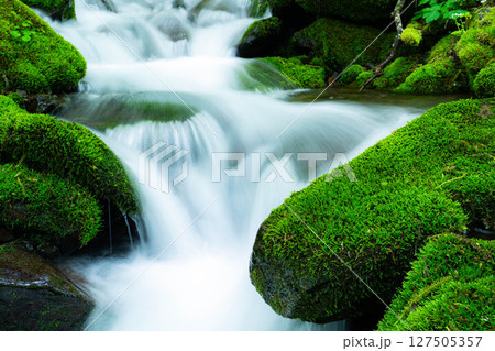 【沢素材】新緑の沢と水飛沫【長野県】 127505357