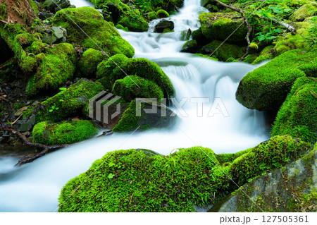 【沢素材】新緑の沢と水飛沫【長野県】 【沢素材】新緑の沢と水飛沫【長野県】 127505361