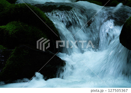 【沢素材】新緑の沢と水飛沫【長野県】 127505367