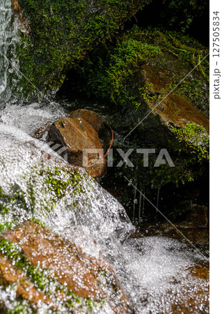 【水飛沫】渓流の水飛沫【長野県】 【水飛沫】渓流の水飛沫【長野県】 127505834