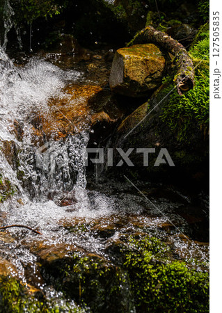 【水飛沫】渓流の水飛沫【長野県】 127505835