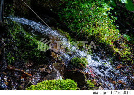 【水飛沫】渓流の水飛沫【長野県】 127505839