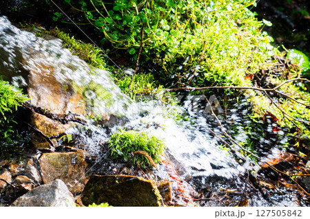 【水飛沫】渓流の水飛沫【長野県】 【水飛沫】渓流の水飛沫【長野県】 127505842