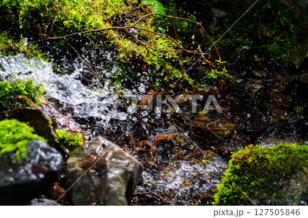 【水飛沫】渓流の水飛沫【長野県】 127505846