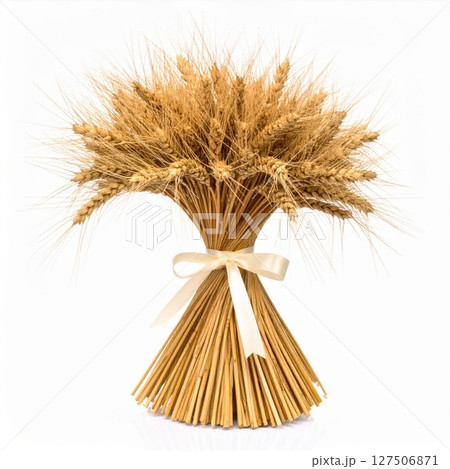 Golden Wheat Sheaf Tied with a Ribbon on White Background 127506871