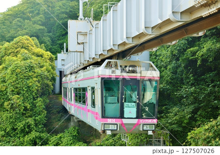 トンネルの入る湘南モノレール 127507026