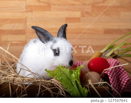White rabbit with black ears and eye markings eating fresh green lettuce surrounded by hay, colorful eggs, and vegetables on wooden background 127507641