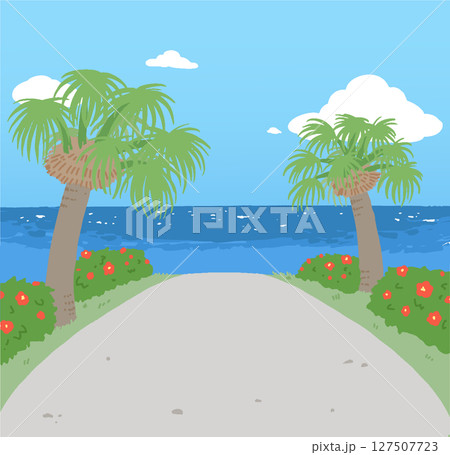 南国の海の見える道のベクターイラスト 127507723