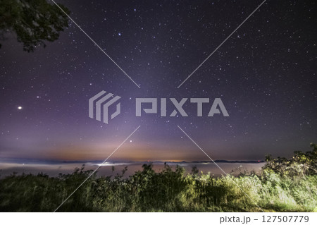 秋の星景色　暁の空に昇るおとめ座・カラス座 127507779