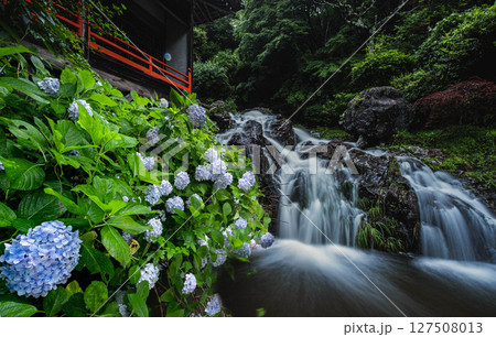 岡山県備前市 大滝山西法院の紫陽花と滝 - あじさい寺と滝の寺の初夏風景 127508013