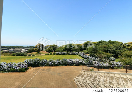 紫陽花が咲く公園の広場 紫陽花が咲く公園の広場 127508021