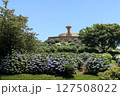 紫陽花が咲く公園の広場 127508022
