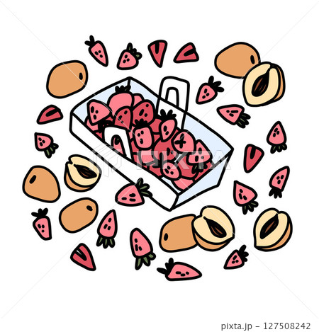 summer bright doodle illustration with a box of strawberries and ripe apricots on a white background 127508242