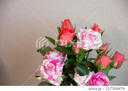 ピンクのばら 127508474