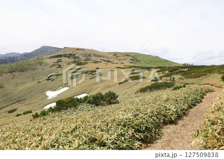 初夏の屈斜路カルデラトレイル　稜線上の道 127509838