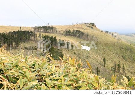 初夏の屈斜路カルデラトレイル　稜線上の道 127509841