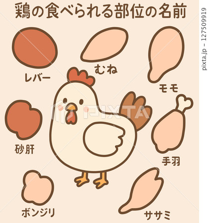 にわとりの可食部位「AI生成画像」 127509919