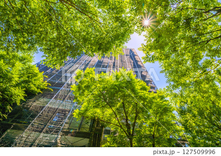 日本の横浜都市景観　マンションの補修や点検等、足場や防護ネットなど… 127509996