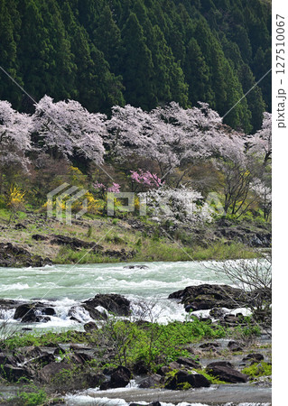 富山・庄川・水記念公園 127510067