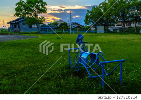 奈良市街地の公園で夕日を見つめるお馬さん② 127510214