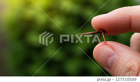 Close-up of painful finger injury caused by sharp thorn. A drop of blood shows 127510589