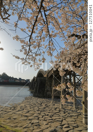 満開の美しい桜越しの岩国錦帯橋の景色 満開の美しい桜越しの岩国錦帯橋の景色 127510841
