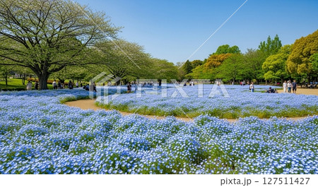 丘一面が青に染まる｜圧巻のネモフィラ風景 127511427