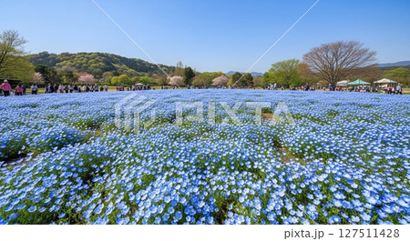 A Blooming Blue Wonderland 127511428