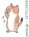 水を飲む猫 127511458