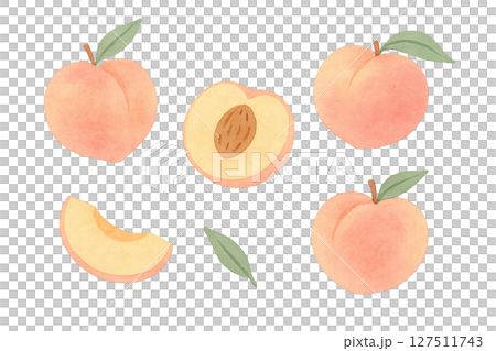 桃子、整體和橫斷面切片組、夏季水果的水彩插圖 127511743