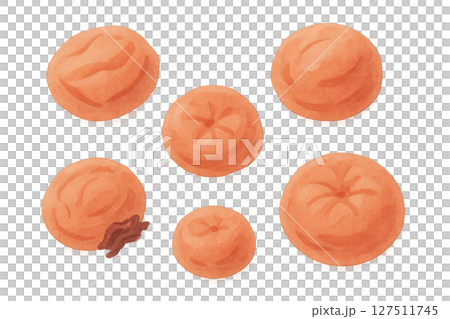 醃李子的水彩插圖、各種李子的套裝、日本食品配料 醃李子的水彩插圖、各種李子的套裝、日本食品配料 127511745