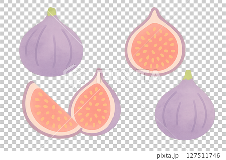 無花果水彩畫、整果、切果、秋果 127511746