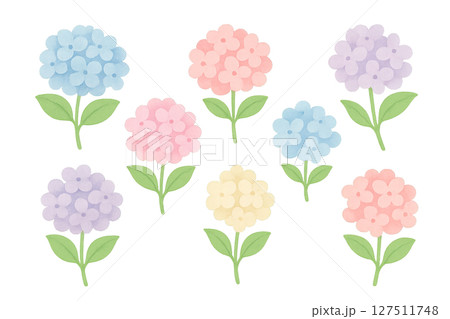 紫陽花の水彩イラスト　各色花パーツセット　梅雨素材 127511748